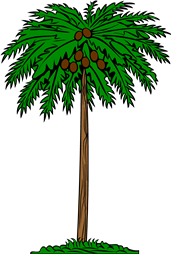 Coca-Tree, (Coker-Tree)