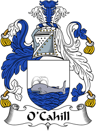 Irish Coat of Arms for O