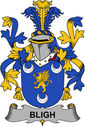 Irish Coat of Arms for Bligh