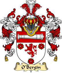 Irish Family Coat of Arms (v.25a) O