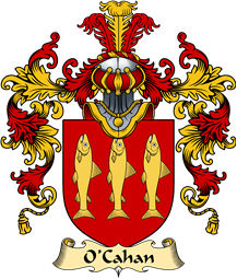 Irish Family Coat of Arms (v.25a) O