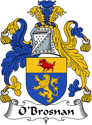 Irish Coat of Arms for O