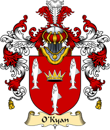 Irish Family Coat of Arms (v.25a) O