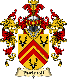 English Family Coat of Arms (v.25) Bucknall or Bucknell