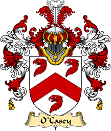 Irish Family Coat of Arms (v.25a) O