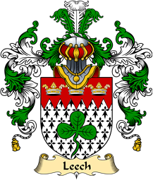 Irish Family Coat of Arms (v.25a) Leech