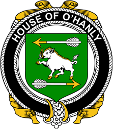 Irish Coat of Arms Badge for the O