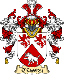 Irish Family Coat of Arms (v.25a) O