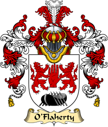 Irish Family Coat of Arms (v.25a) O