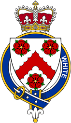 Families of Britain Coat of Arms Badge for: White (Ireland)