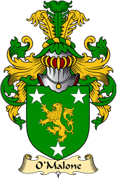 Irish Family Coat of Arms (v.23) for O