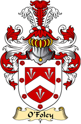 Irish Family Coat of Arms (v.23) for O