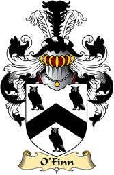 Irish Family Coat of Arms (v.23) for O