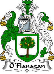 Irish Coat of Arms for O