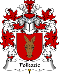 Polish Coat of Arms for Polkozic