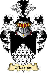 Irish Family Coat of Arms (v.23) for O