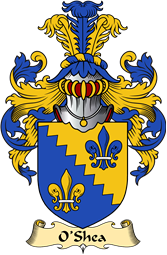 Irish Family Coat of Arms (v.23) for O