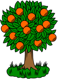 Orange Tree II