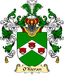Irish Family Coat of Arms (v.25a) O
