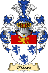 Irish Family Coat of Arms (v.23) for O