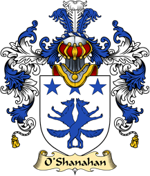 Irish Family Coat of Arms (v.25a) O