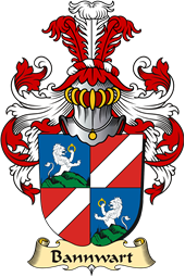 v.23 Coat of Family Arms from Germany for Bannwart