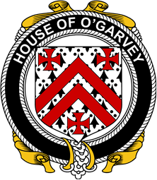 Irish Coat of Arms Badge for the O