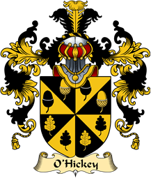 Irish Family Coat of Arms (v.25a) O