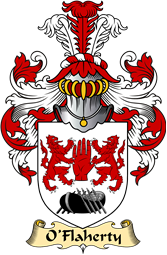 Irish Family Coat of Arms (v.23) for O