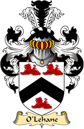 Irish Family Coat of Arms (v.23) for O