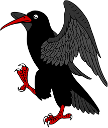 Cornish Chough