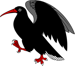 Cornish Chough Rampant Wings Elevated