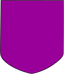 Shield 19