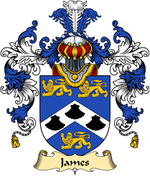 English Family Coat of Arms (v.25) James II