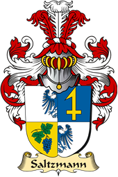 v.23 Coat of Family Arms from Germany for Saltzmann