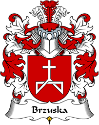 Polish Coat of Arms for Brzuska