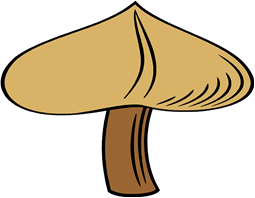 Mushroom