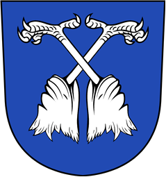 Swiss Coat of Arms for Kienberg