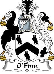 Irish Coat of Arms for O