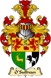 Irish Family Coat of Arms (v.23) for O