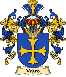 Irish Family Coat of Arms (v.25a) Ward