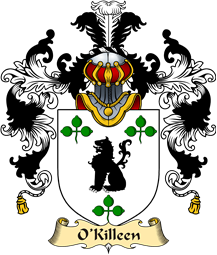Irish Family Coat of Arms (v.25a) O
