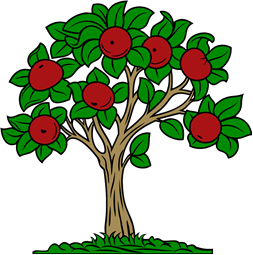 Apple Tree