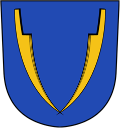 Swiss Coat of Arms for Staina