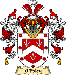 Irish Family Coat of Arms (v.25a) O