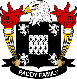 Paddy