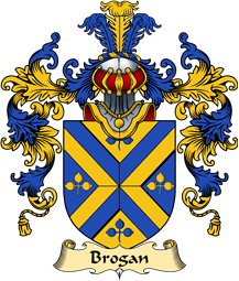 Irish Family Coat of Arms (v.25a) Brogan or O