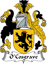 Irish Coat of Arms for O