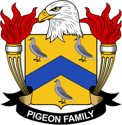 Pigeon