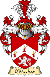 Irish Family Coat of Arms (v.23) for O